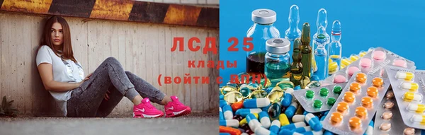 a pvp Дмитровск
