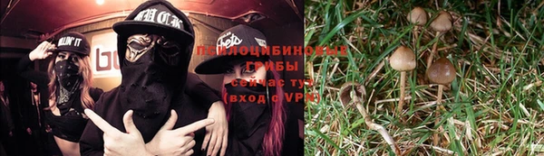 каннабис Дмитриев