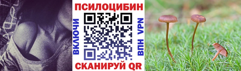 как найти закладки  Истра  kraken зеркало  Галлюциногенные грибы мицелий 