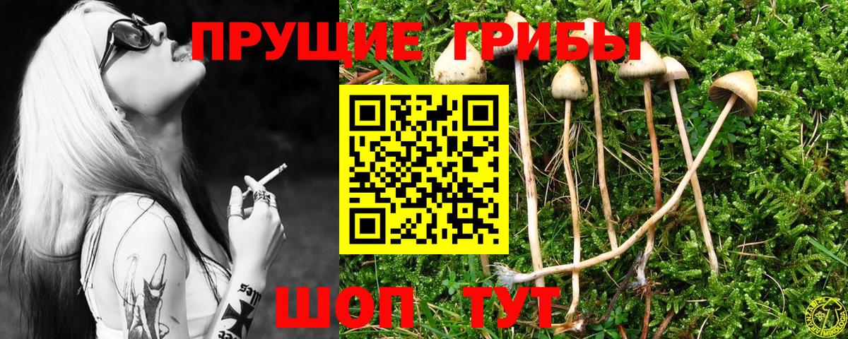 Галлюциногенные грибы Magic Shrooms  Вход с VPN  Галлюциногенные грибы мухоморы  Истра 